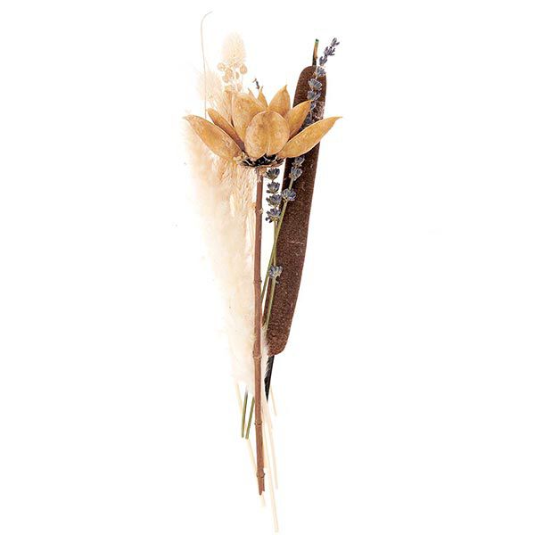 Set gedroogde bloemen [ 30 cm ] | Rico Design – natuur/oranje,  image number 4