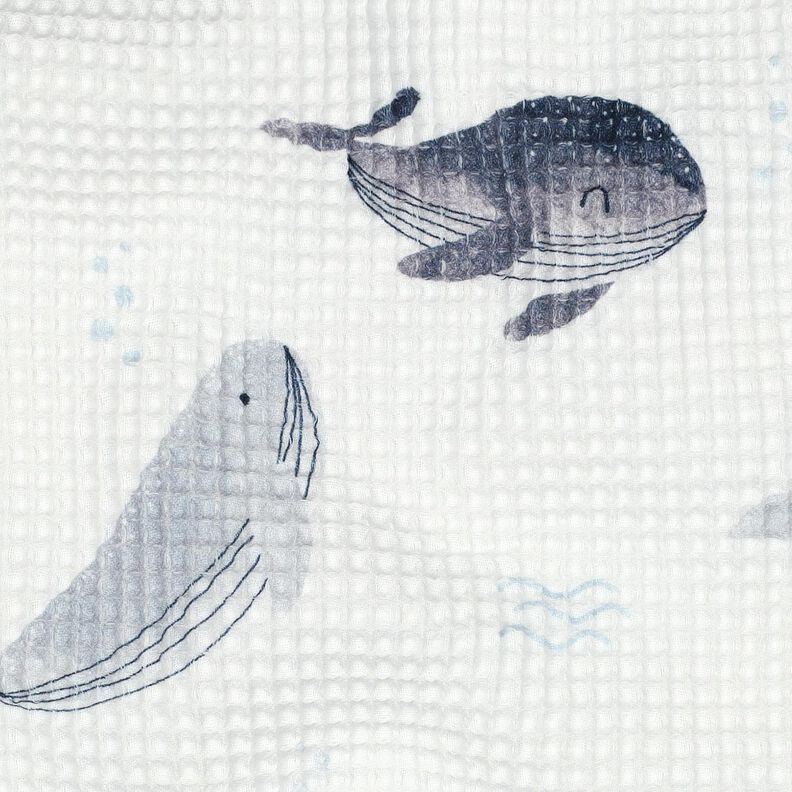 Wafelpiqué Wale Digitaal printen | Poppy Fabrics – ivoor/blauwgrijs, image number 2