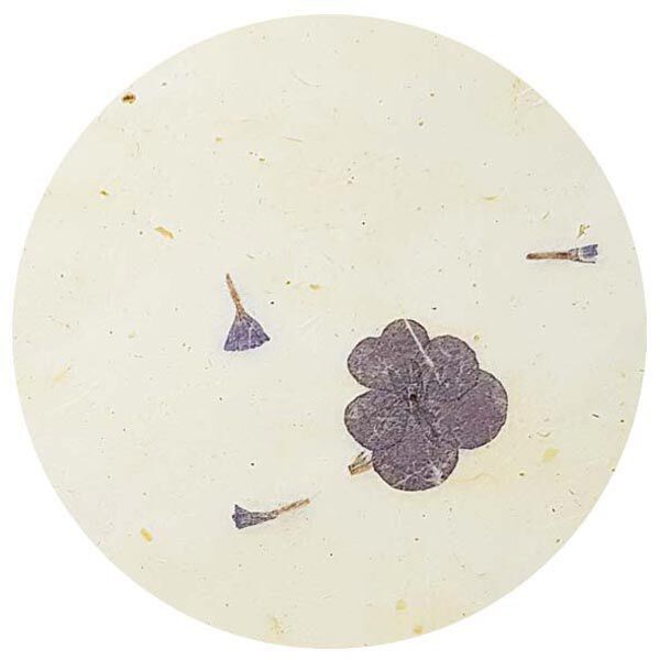 Set natuurlijk papier "Paper Nature Viola", image number 3