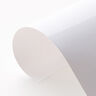 Vinylfolie kleurverandering bij koude Din A4 – wit/aquablauw,  thumbnail number 4