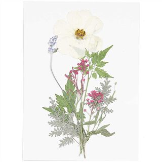 Geperste set bloemen [ 6 Stuk ] | Rico Design – wit/lila, 