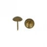 Bekledingsnietjes [ 17 mm | 50 Stk.] - oudoud goud metalen,  thumbnail number 2