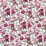 Katoenpopeline Wilde rozen – wit/kaasjeskruid,  thumbnail number 1