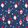 Katoenen stof Popeline Kerstkabouters – marineblauw/rood,  thumbnail number 1