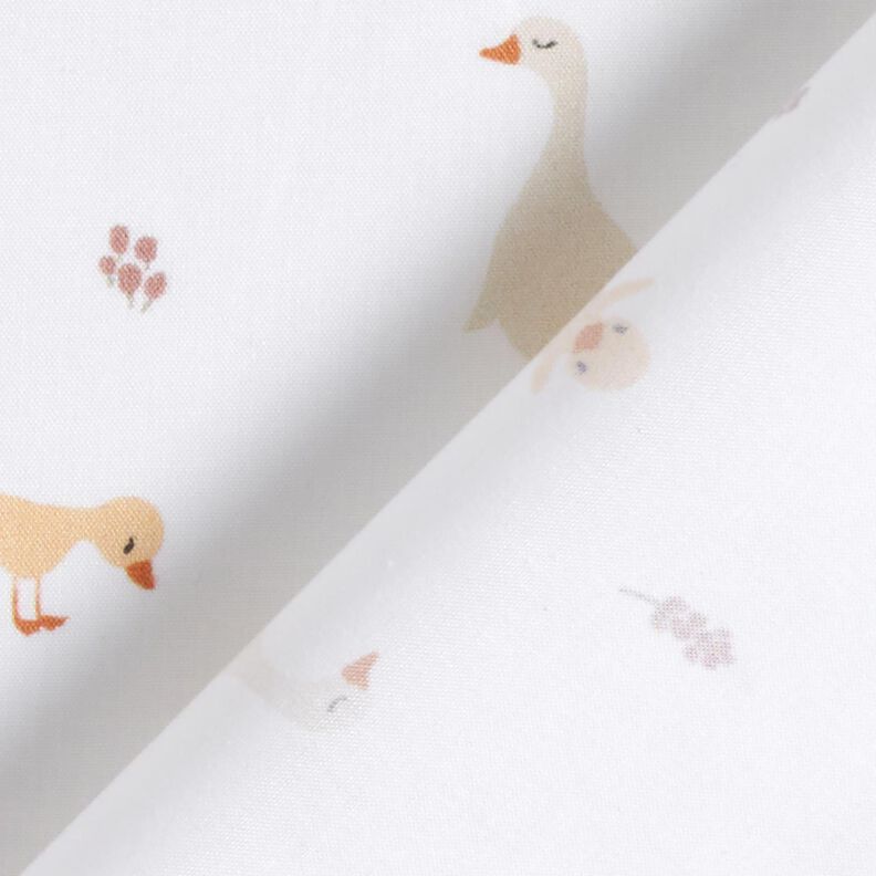GOTS Katoenpopeline schattige ganzen en kuikens | Poppy Fabrics – wit,  image number 4