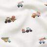 Katoenjersey Levering van groenten – ecru,  thumbnail number 2