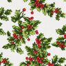 Decostof canvas Maretak – groen/rood,  thumbnail number 6