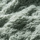 riet