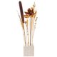 Set gedroogde bloemen [ 30 cm ] | Rico Design – natuur/oranje,  thumbnail number 3
