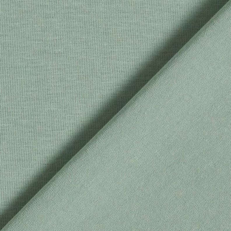 GOTS Katoenjersey | Tula – riet,  image number 3