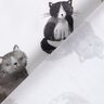 Katoenpopeline gelukkige katten Digitaal printen | Poppy Fabrics – wit,  thumbnail number 4