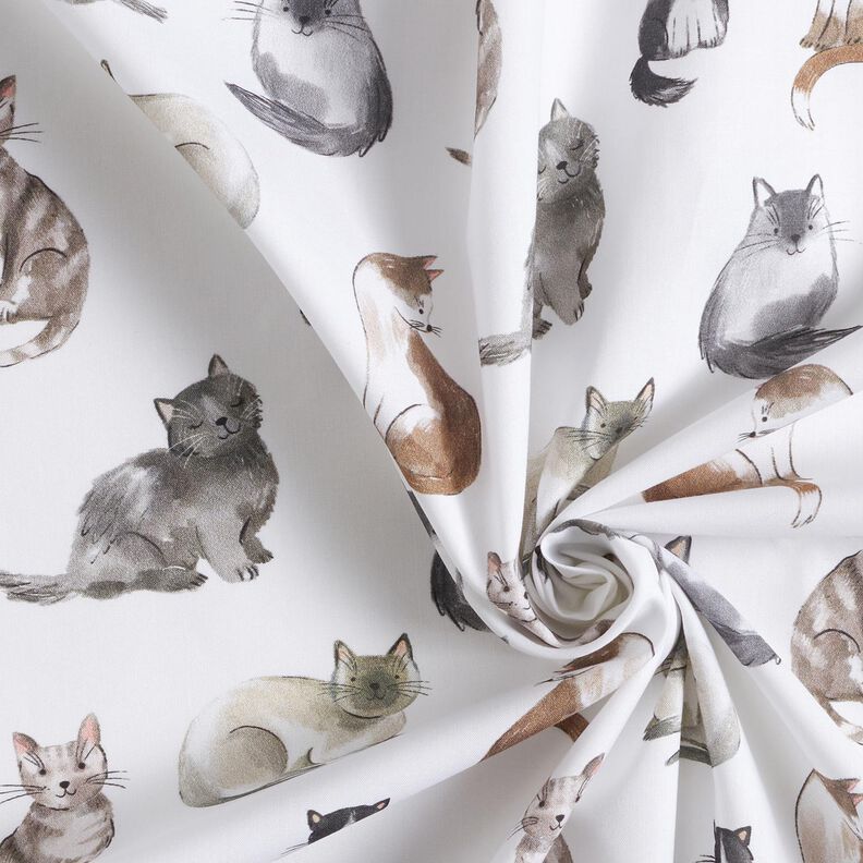 Katoenpopeline gelukkige katten Digitaal printen | Poppy Fabrics – wit,  image number 3