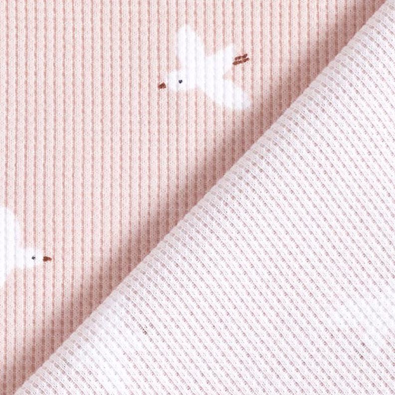 Wafel jersey Vogels | by Poppy – roos,  image number 5