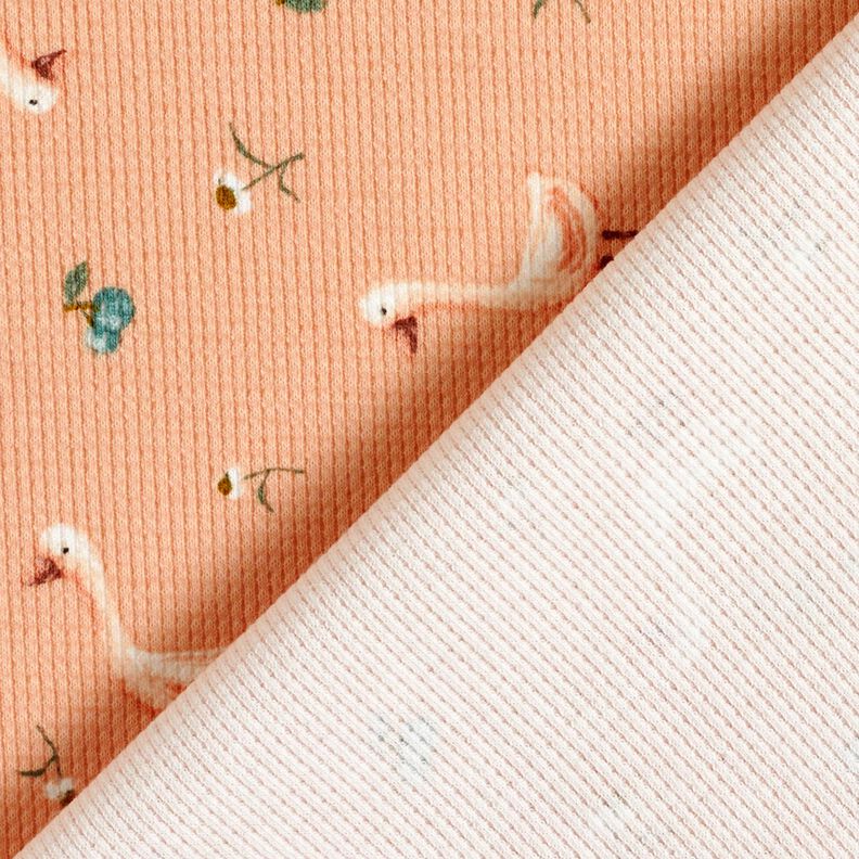 Wafel jersey Ganzen en bloemen &ndash; zalm,  image number 4