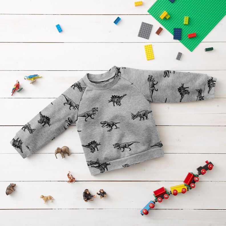 French Terry sommersweat Dino's – zilver/zwart, image number 5