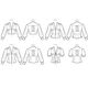 Blouse, McCall‘s 7978 | 40-48,  thumbnail number 8