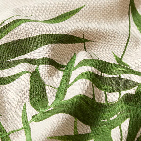 Halfpanama linnenlook bladeren – natuur, image number 2