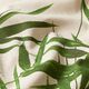 Halfpanama linnenlook bladeren – natuur,  thumbnail number 2