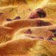 Decostof gobelin Herfstbladeren – oranje/roodbruin,  thumbnail number 2
