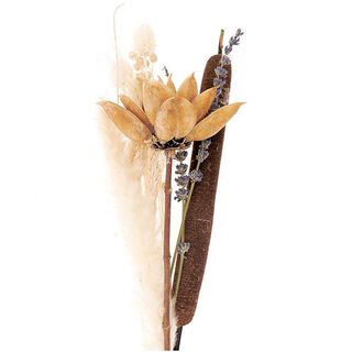 Set gedroogde bloemen [ 30 cm ] | Rico Design – natuur/oranje, 