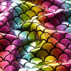 Foliejersey Zeemeerminschubben regenboog – zwart/kleurenmix, 