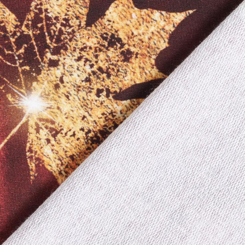 French Terry Gouden herfst | Glitzerpüppi – roodbruin/goud, image number 4