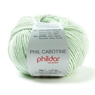 Phil Cabotine, 50 g | Phildar (vert d‘eau), 