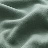 riet