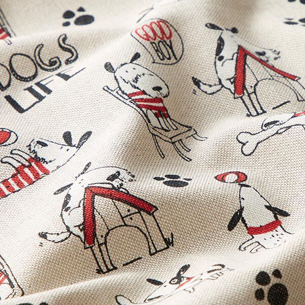 Halfpanama linnenlook Dogs Life – natuur, image number 2