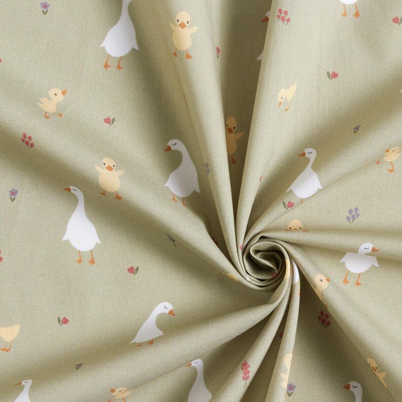 GOTS Katoenpopeline schattige ganzen en kuikens | Poppy Fabrics – greige,  image number 3
