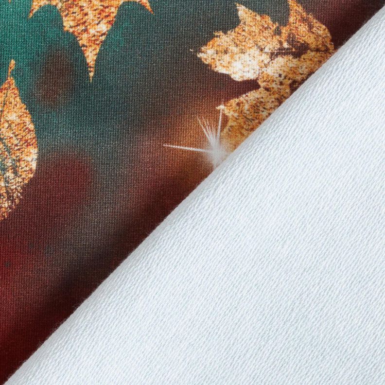French Terry sommersweat Gouden herfst | Glitzerpüppi – blauwe spar/roodbruin,  image number 4
