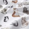 Katoenpopeline gelukkige katten Digitaal printen | Poppy Fabrics – wit,  thumbnail number 2
