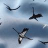 Bamboestof kraanvogels – blauwgrijs,  thumbnail number 2