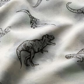Softshell Dino's – lichtgrijs, 
