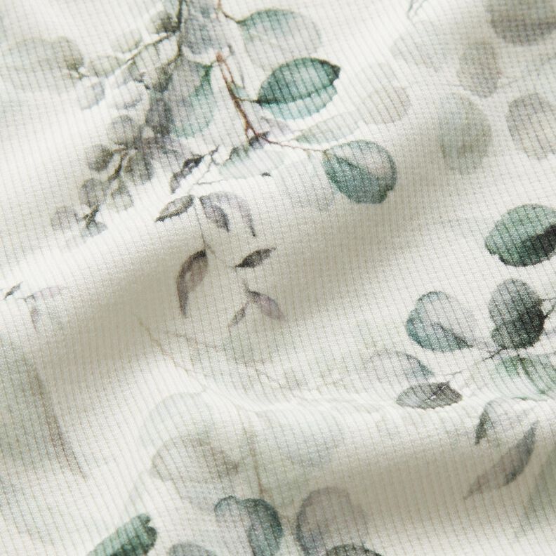 Ribjersey Eucalyptus Digitaal printen – ecru, image number 2