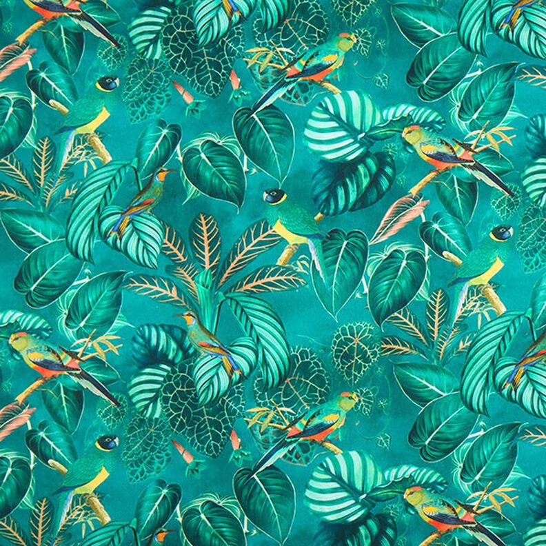 Decostof Canvas Paradijsvogels – donkergroen,  image number 1