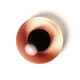 Dierenoog 20,  thumbnail number 1