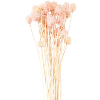 Gedroogde Japanse kaarde [ 50 g ] | Rico Design – pink, 