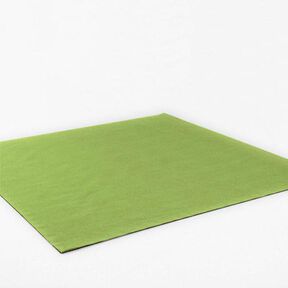 Vilt 90 cm / 3 mm dik – lichtolijf, 