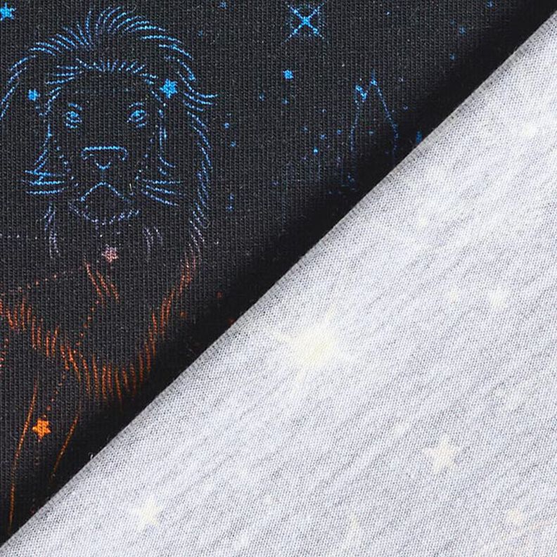 Katoenjersey Licentiestof Patronus Harry Potter | Warner Bros. – zwart,  image number 4