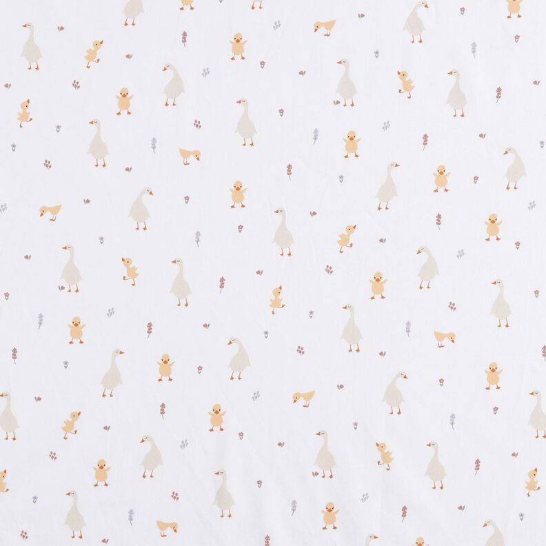 GOTS Katoenpopeline schattige ganzen en kuikens | Poppy Fabrics – wit,  image number 1