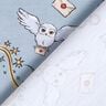 Katoenjersey Harry Potter Tovenaarswereld | Warner Bros. – lichtblauw,  thumbnail number 4