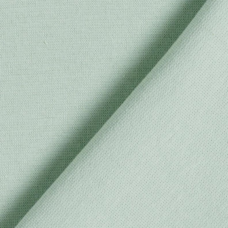 GOTS katoenen boordstof | Tula – pastelgroen,  image number 3