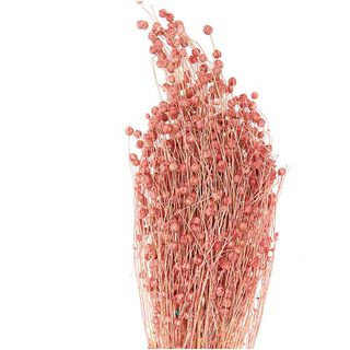 Gedroogd vlas [ 100 g ] | Rico Design – pink, 