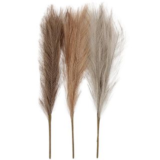 Pampasgras, 50cm [3stuks] – natuur, 