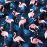 Katoenjersey Flamingo | Glitzerpüppi – nachtblauw/lichtroze,  thumbnail number 2