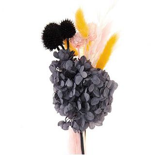 Set gedroogde bloemen [ 30 cm ] | Rico Design – zwart, 