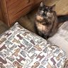 Decostof Half panama Katten – natuur,  thumbnail number 6