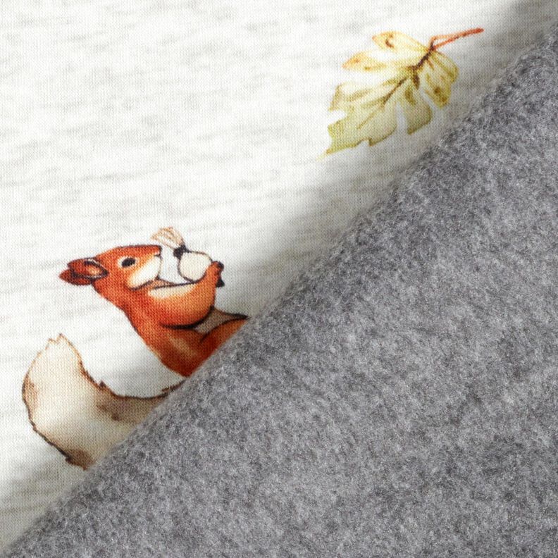 Alpenfleece Eekhoorn – natuur/lichtgrijs,  image number 4