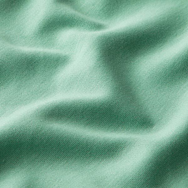 GOTS Interlock Jersey effen – riet, image number 2